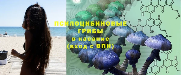 бошки Алексеевка