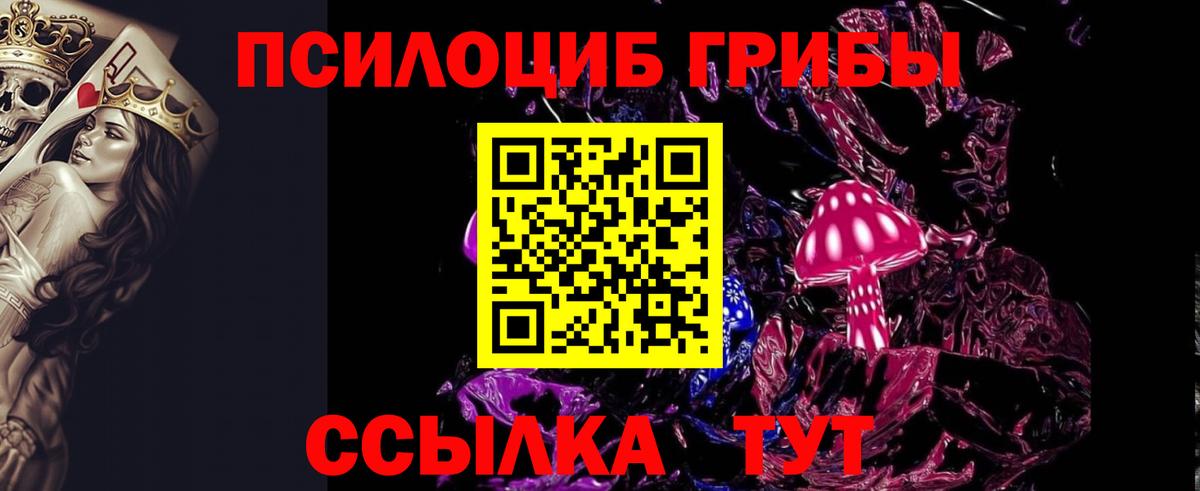 Псилоцибиновые грибы мицелий Майский